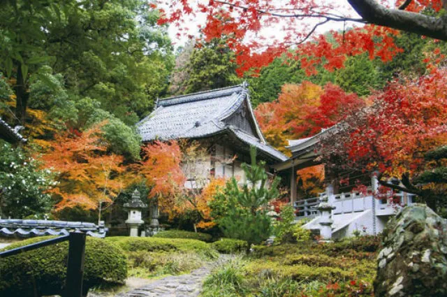 【紅葉・見ごろ】馬の寺「石馬寺」_1