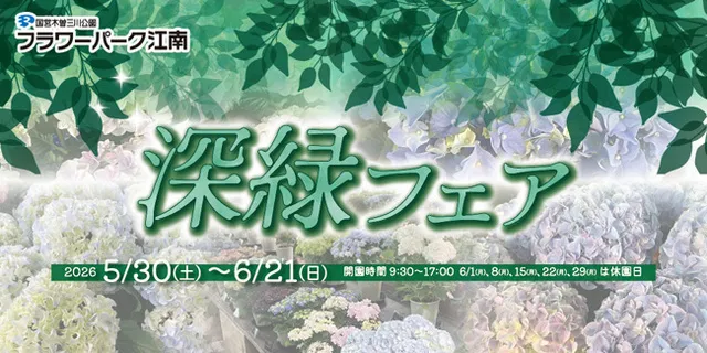 フラワーパーク江南　深緑フェア_1