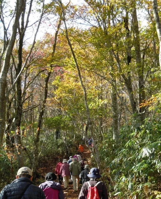 第35回氷ノ山紅葉登山フェスティバル_1