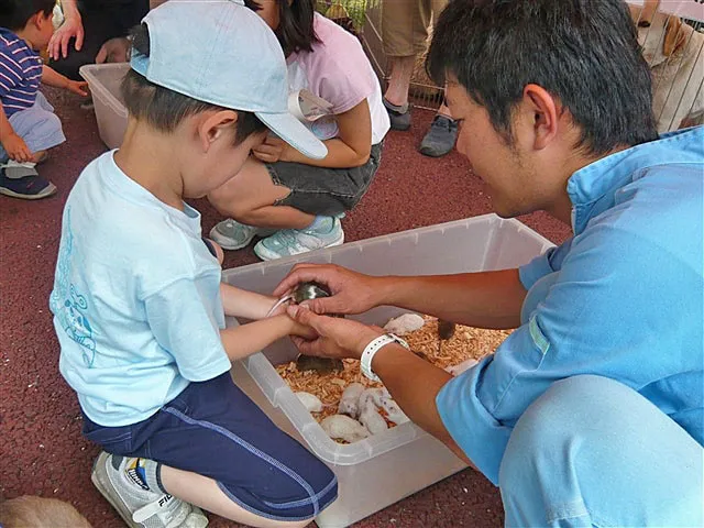 辰巳健康スポーツフェスティバル_1