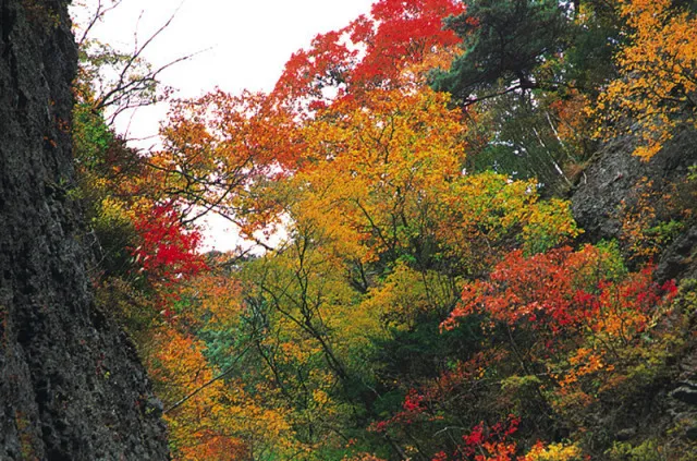 【紅葉・見ごろ】角間渓谷_1