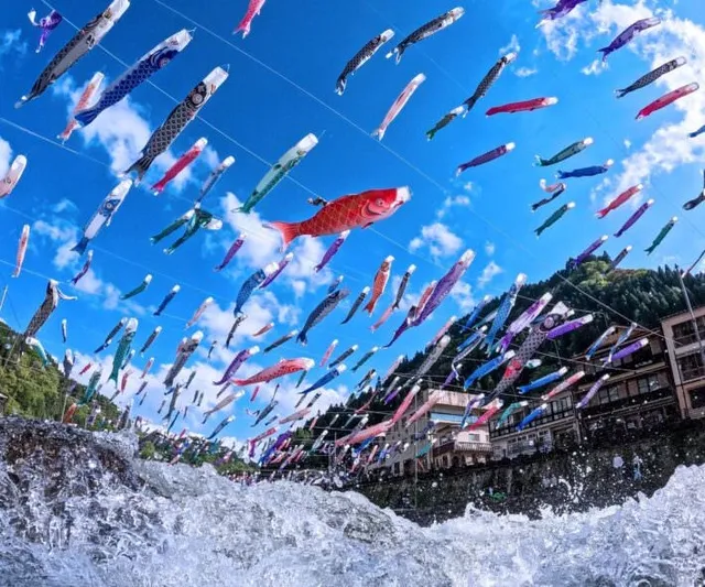 杖立温泉鯉のぼり祭り_1