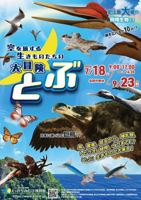 夏の特別展「とぶ　空を旅する生きものたちの大冒険」_1