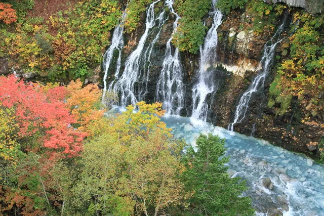 【紅葉・見ごろ】白ひげの滝_1