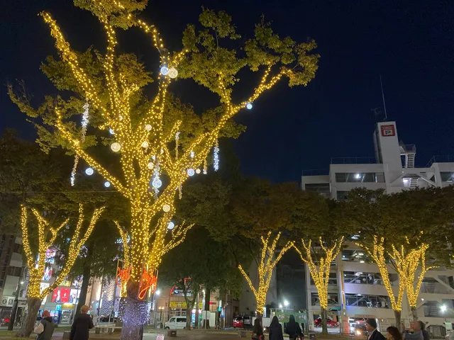 第25回池田公園イルミネーション_1