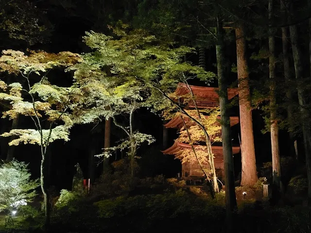 光前寺もみじまつりライトアップ_1