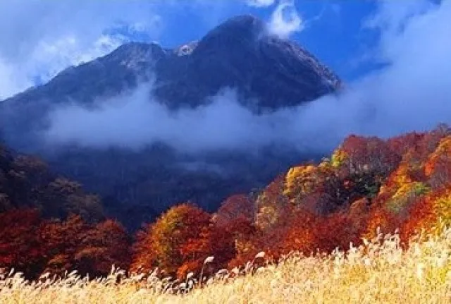 【紅葉・見ごろ】燕温泉_1