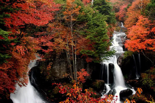 【紅葉・見ごろ】竜頭ノ滝_1