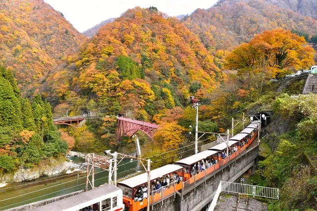 【紅葉・見ごろ】黒部峡谷_1
