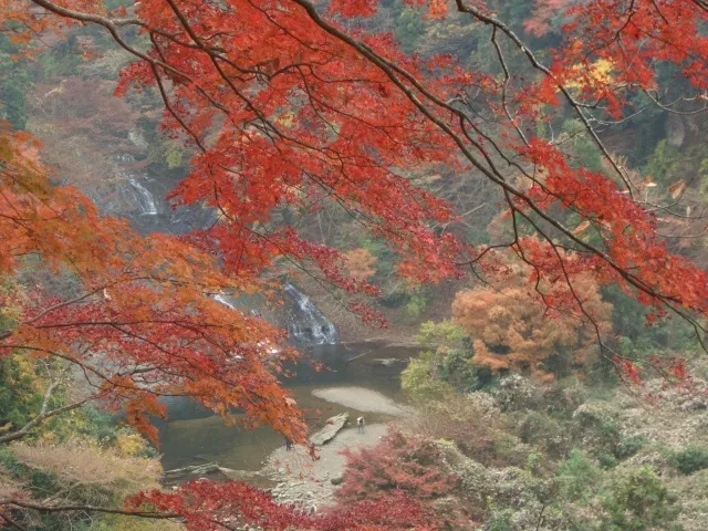 【紅葉・見ごろ】養老渓谷・粟又の滝_1
