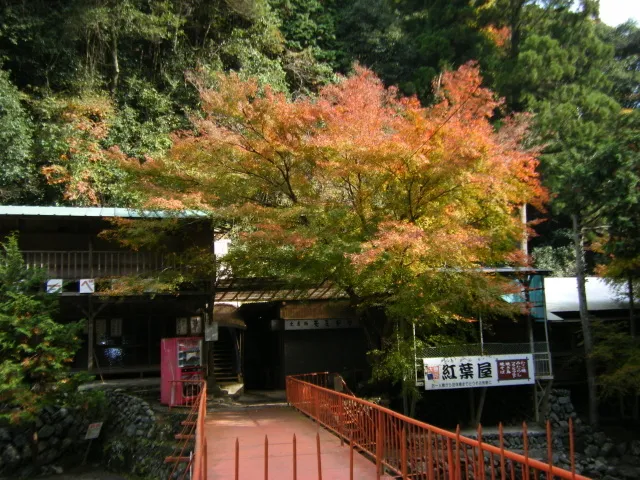 【紅葉・見ごろ】多度峡_1