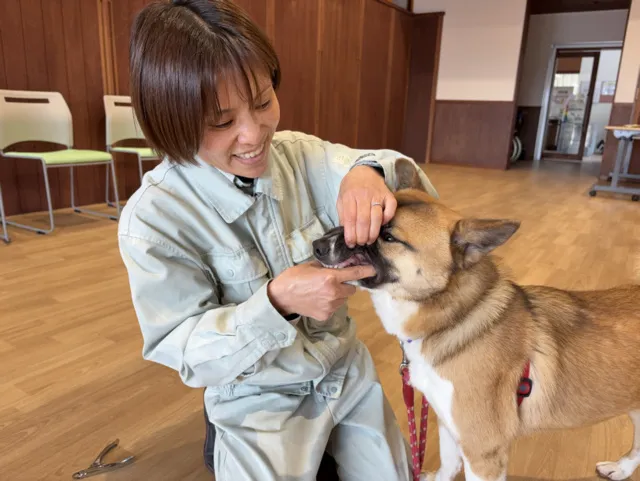 広島県動物愛護センター 犬の日常ケア講座（7月）_1