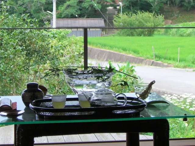 奈良さとやまSUMMERキャンペーン2026 お茶の魅力を学ぼう！茶畑見学と茶摘み体験_1