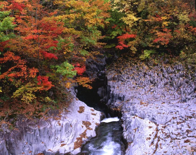 【紅葉・見ごろ】中津川渓谷_1