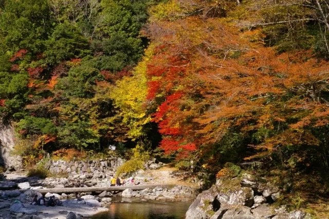 【紅葉・見ごろ】安居渓谷_1