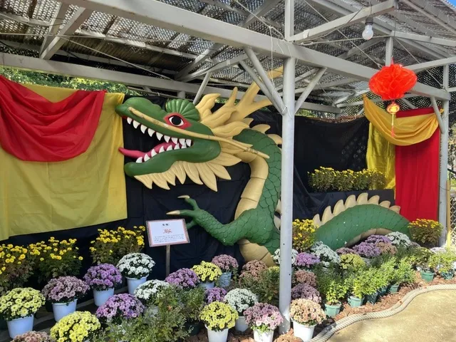 広島市植物公園　キク展_1