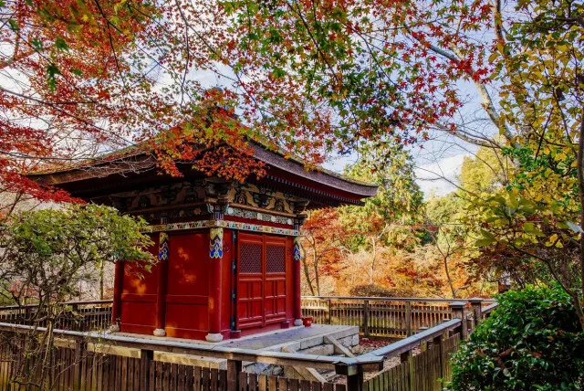 【紅葉・見ごろ】三井寺（園城寺）_1
