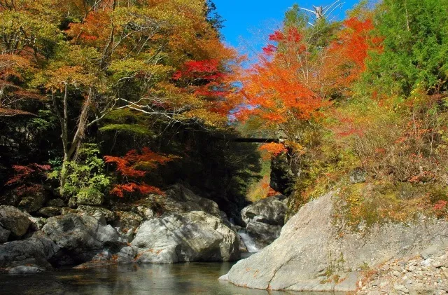 【紅葉・見ごろ】殿川内渓谷_1