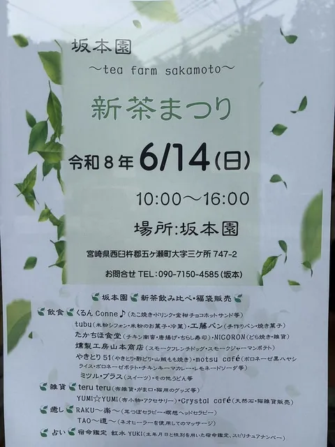 坂本園新茶まつり_1
