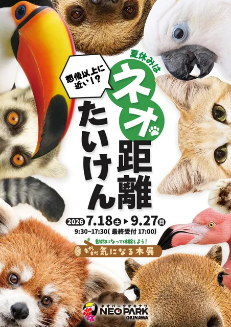 想像以上に近い！？夏休みはネオ距離体験！_1