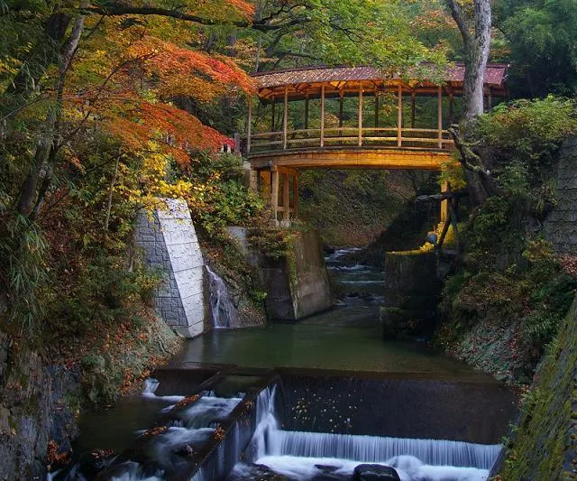 【紅葉・見ごろ】鹿教湯温泉_1