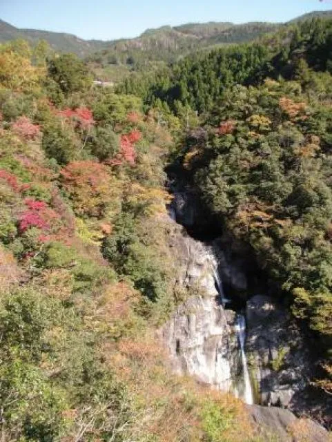 【紅葉・見ごろ】轟の滝_1