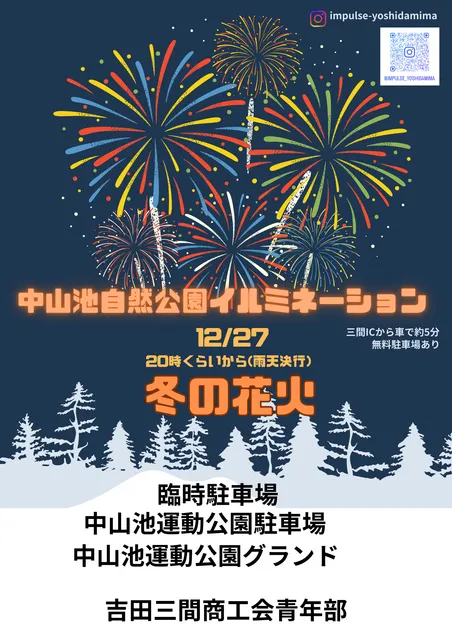 中山池自然公園イルミネーション　冬の花火_1