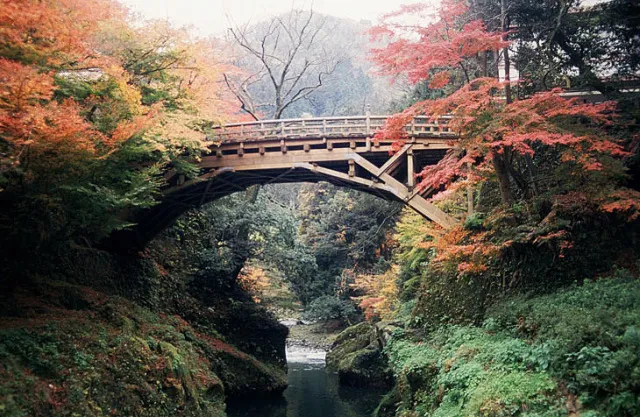 【紅葉・見ごろ】鶴仙渓_1
