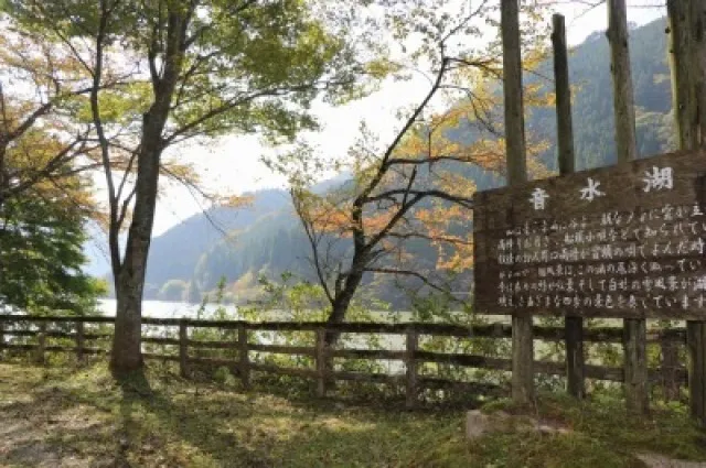 【紅葉・見ごろ】音水湖_1