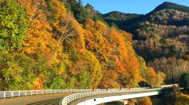 【紅葉・見ごろ】落合渓谷_1