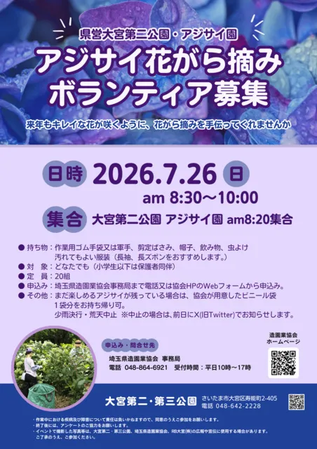 大宮第二公園　アジサイの花がら摘み_1