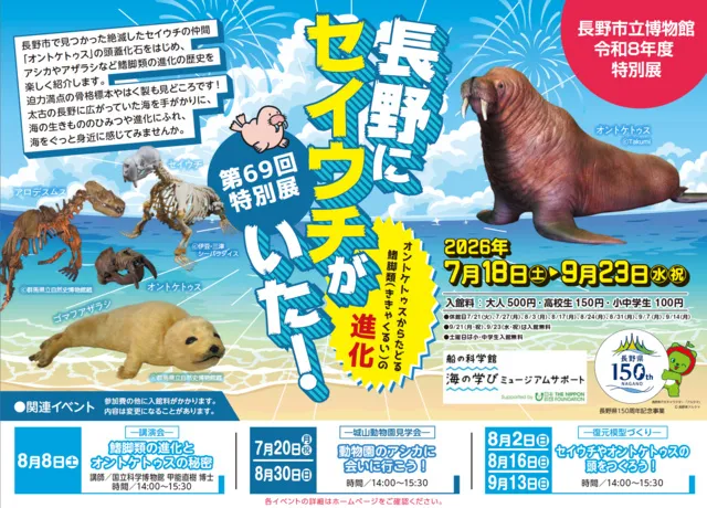 夏の特別展「長野にセイウチがいた！ ―オントケトゥスからたどる鰭脚類の進化―」_1
