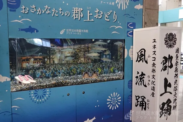 テーマ水槽『おさかなたちの郡上おどり』_1