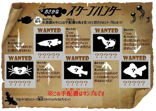 おさかなスクープハンター_1