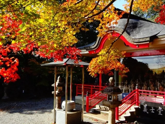 【紅葉・見ごろ】鳳源寺_1