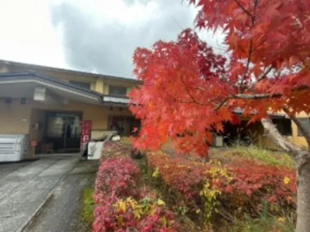 【紅葉・見ごろ】道後山系_1