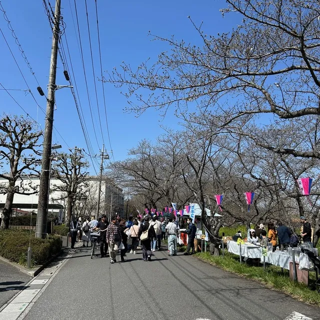 桜市2026_1