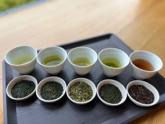 「星のお茶塾」第2回お茶の種類や違いを学ぶ_1