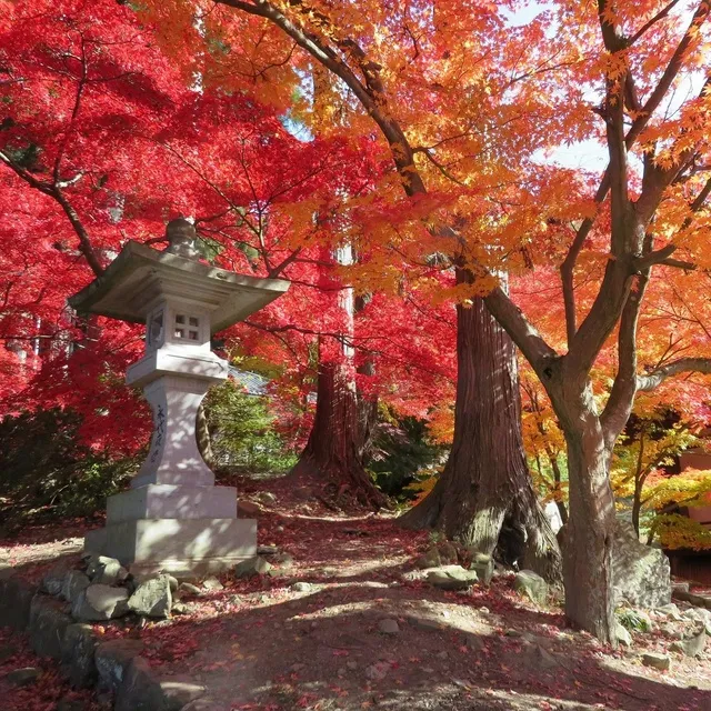 【紅葉・見ごろ】阿弥陀山清水寺_1