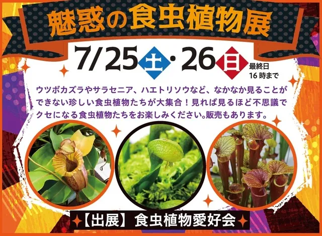 魅惑の食虫植物展_1