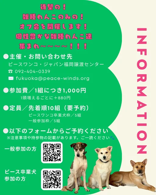雑種オフ会_1