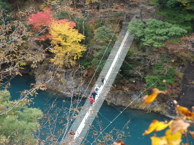 【紅葉・見ごろ】寸又峡渓谷_1