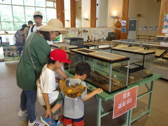 滝野の森　野外昆虫博物館_1