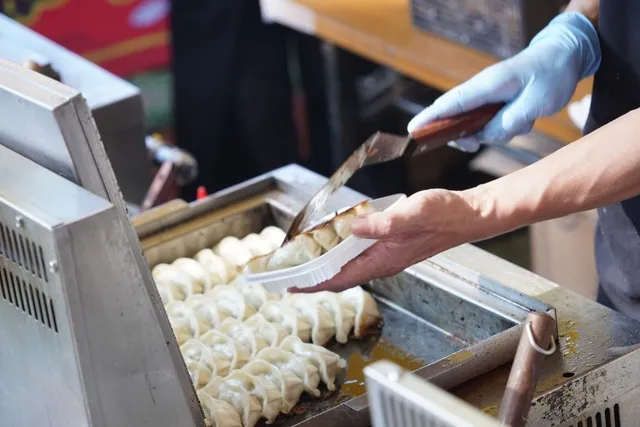 宇都宮餃子祭り_1