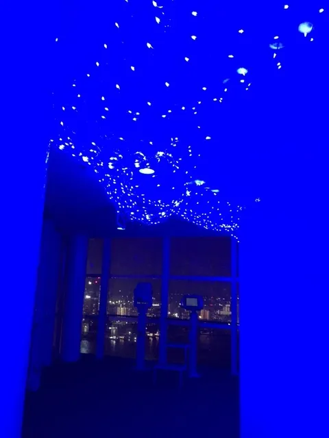 天空の七夕_1