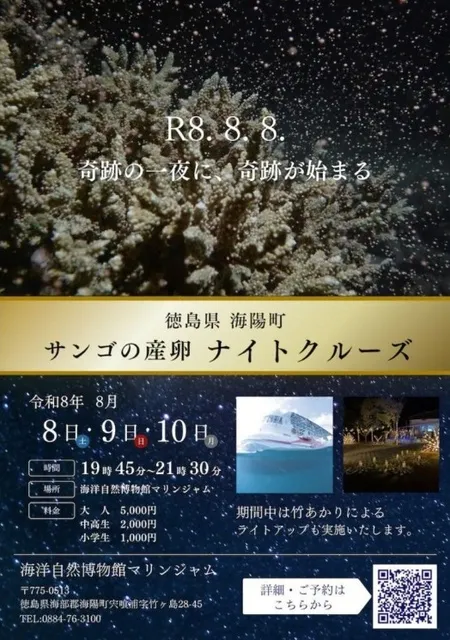 サンゴの産卵ナイトクルーズ_1