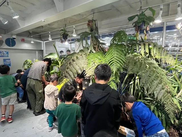 世界最大の350種類のクワガタ・カブトムシ展_1