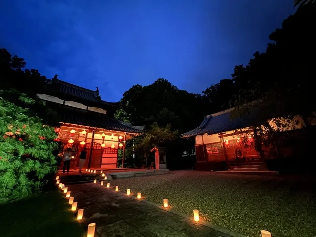 おちさんの夜あかり_1