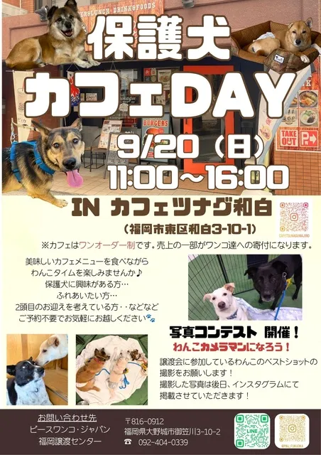 保護犬カフェDAY_1