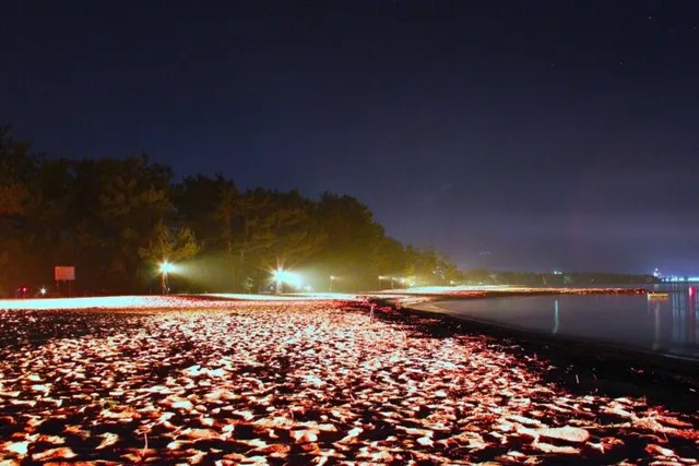 天橋立まち灯り　天橋立砂浜ライトアップ2025_1